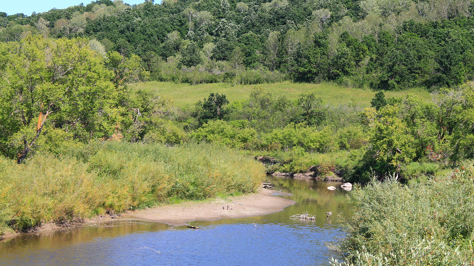 A small stream runs through a verdant valley.