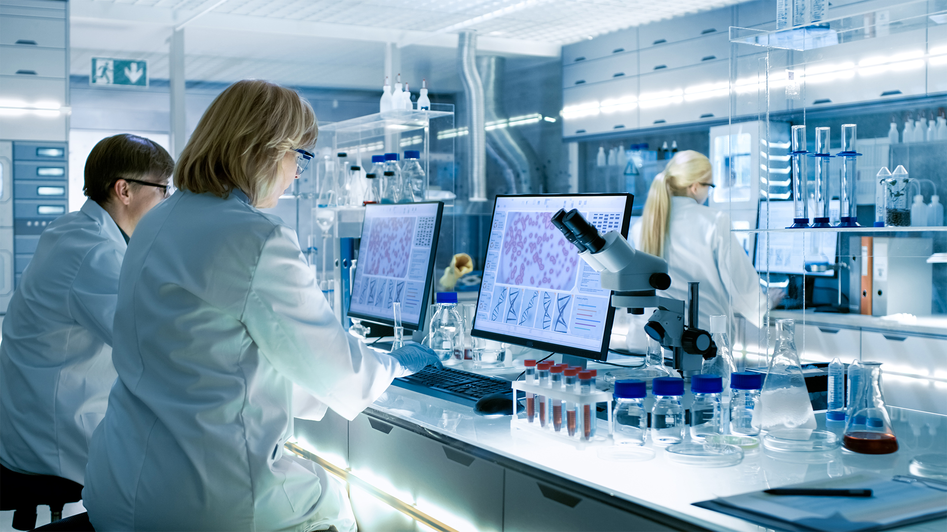 Female and male scientists working on Computers In a modern laboratory with various shelves, beakers, chemicals and other equipment visible.