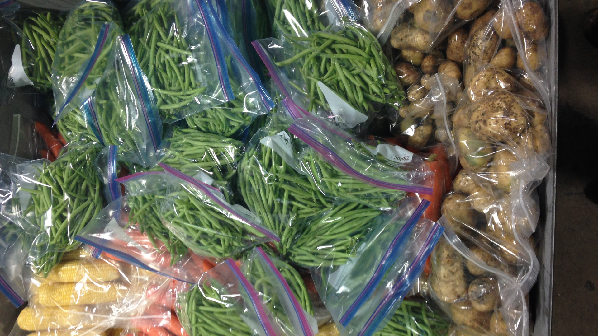 Green beans, potatoes, carrots and corn are sorted into plastic bags for distribution. 
