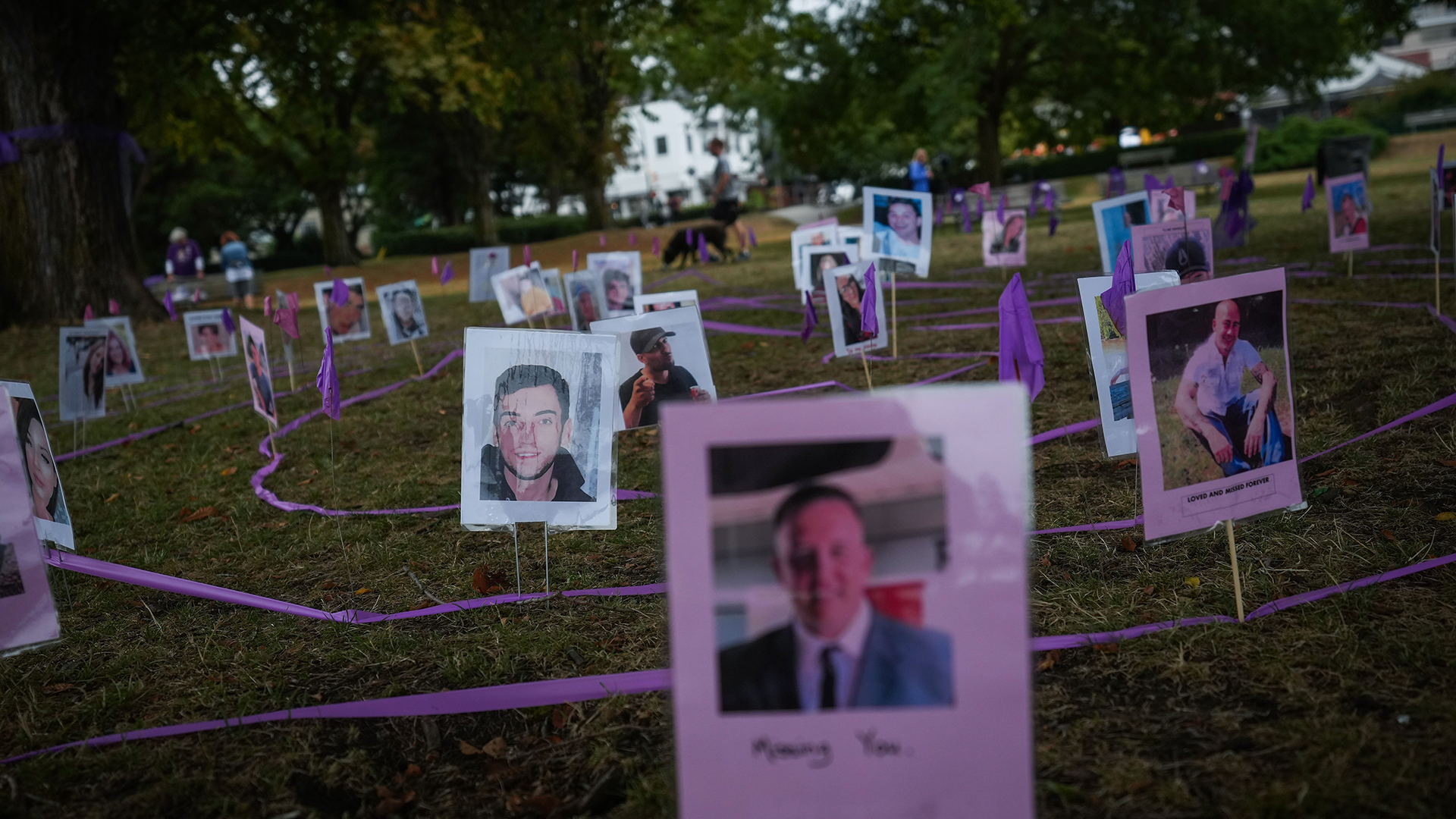 In a city park surrounded by a canopy of mature trees, more than two dozen photographs sit upright. Each displays the face of a man or woman. A purple ribbon winds through the grass, connecting all the photos.