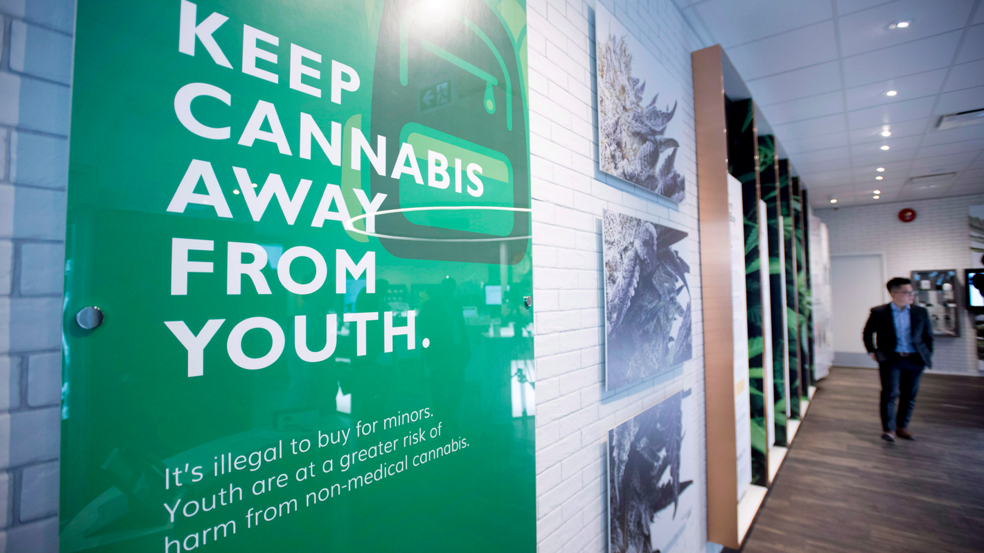 On white brick walls is a large green poster that says “Keep cannabis away from youth: It’s illegal to buy for minors. Youth are at a greater risk of harm from non-medical cannabis.” Next to that are black and white photos of cannabis plants and informational panels. A white man in a suit walks through the space.