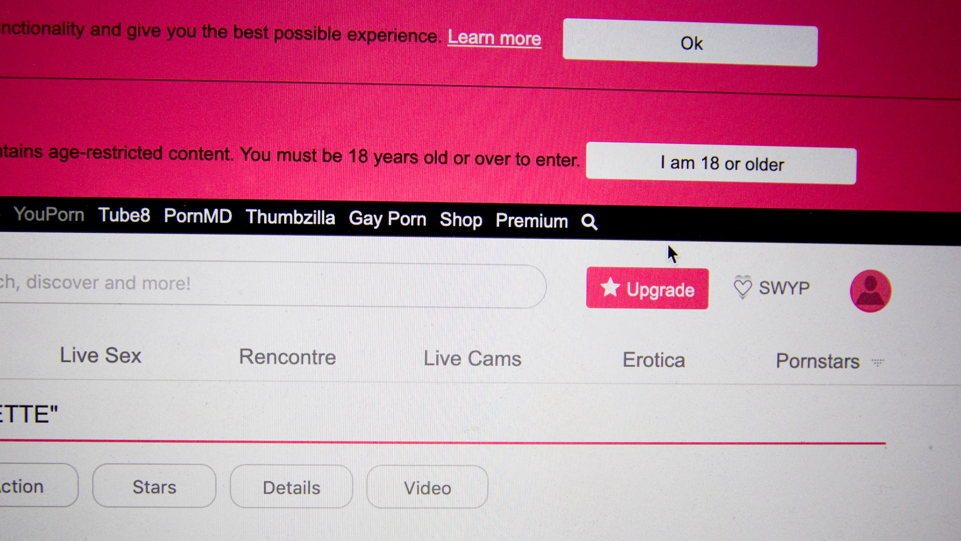 A closeup of a computer screen on an unidentified pornography site.