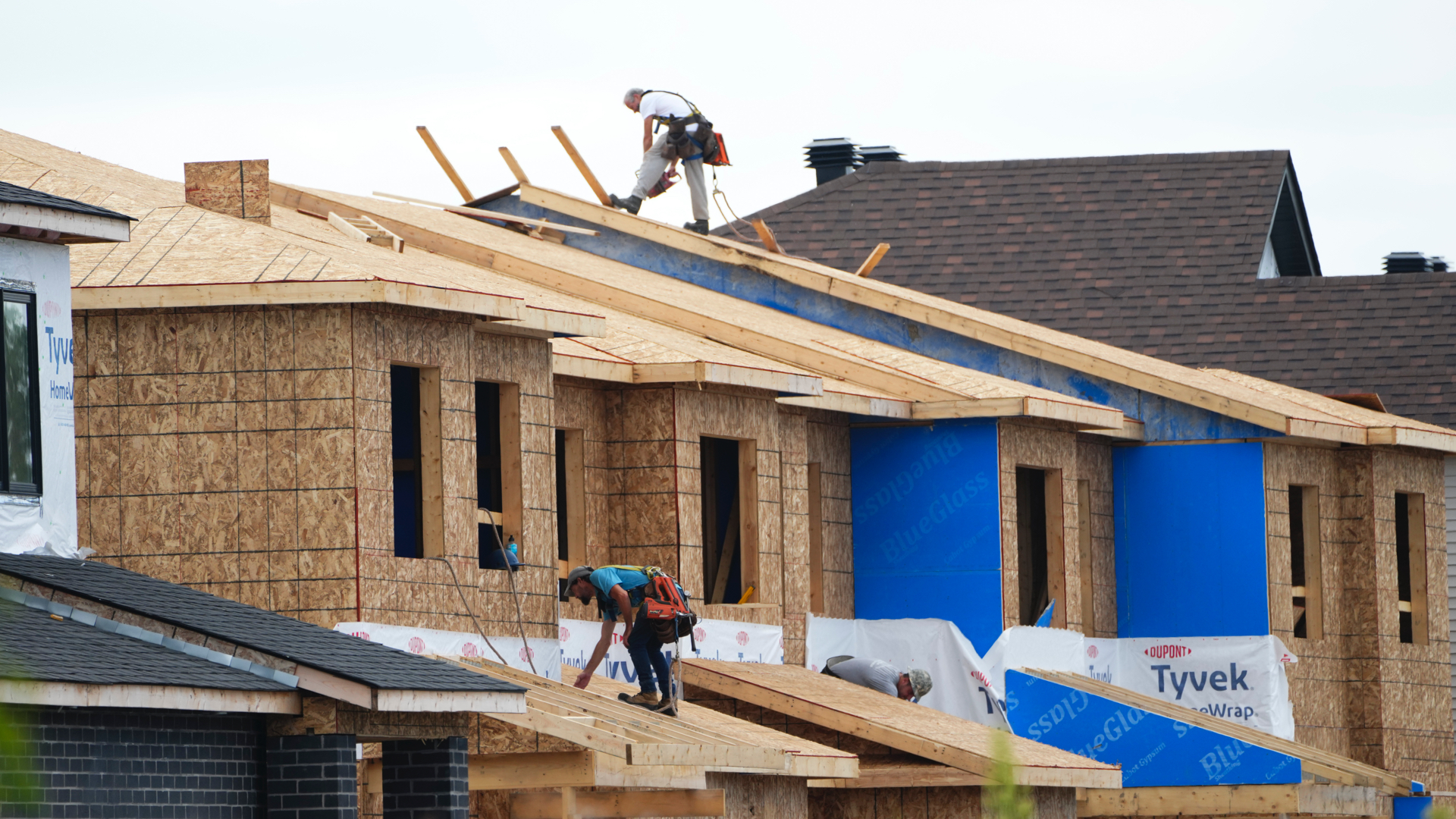 Two roofers are bent over the plywood-covered roofs of a set of two-storey townhouses clad in pressboard, some of them covered in deep-blue and white membrane material.