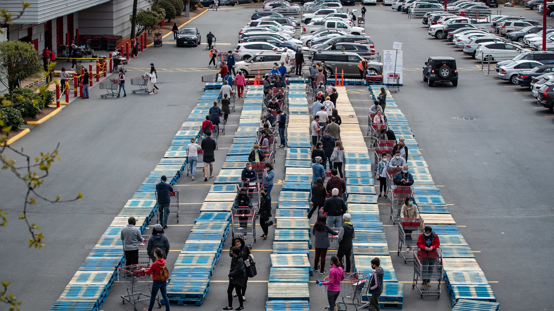 Shoppers pushing carts in a parking lot are kept at a distance by a maze of stacked wooden pallets.