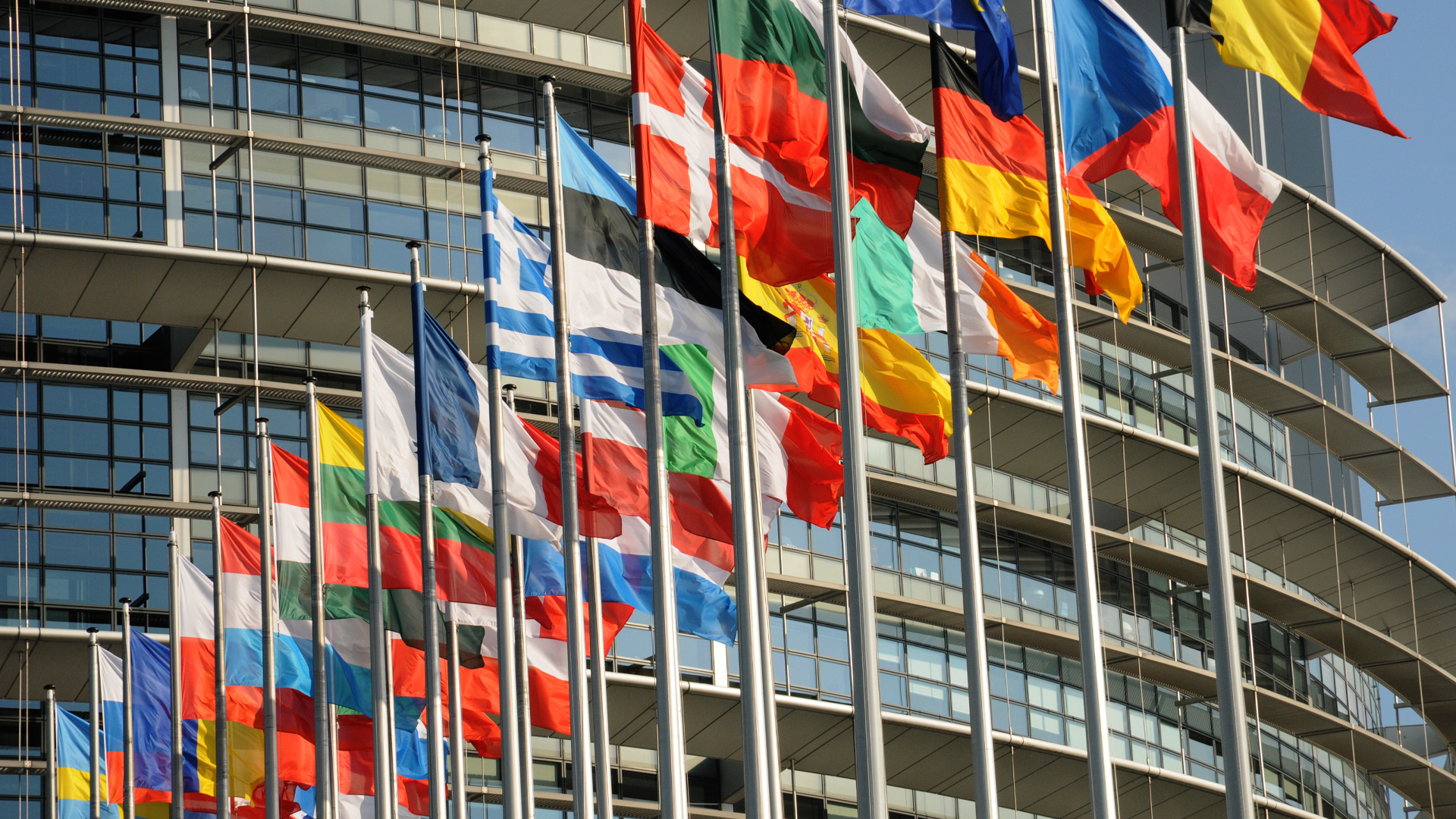 Two rows of flags fly in front of a glass-walled building that is curved. The flags are colourful, representing all the member countries of the EU.