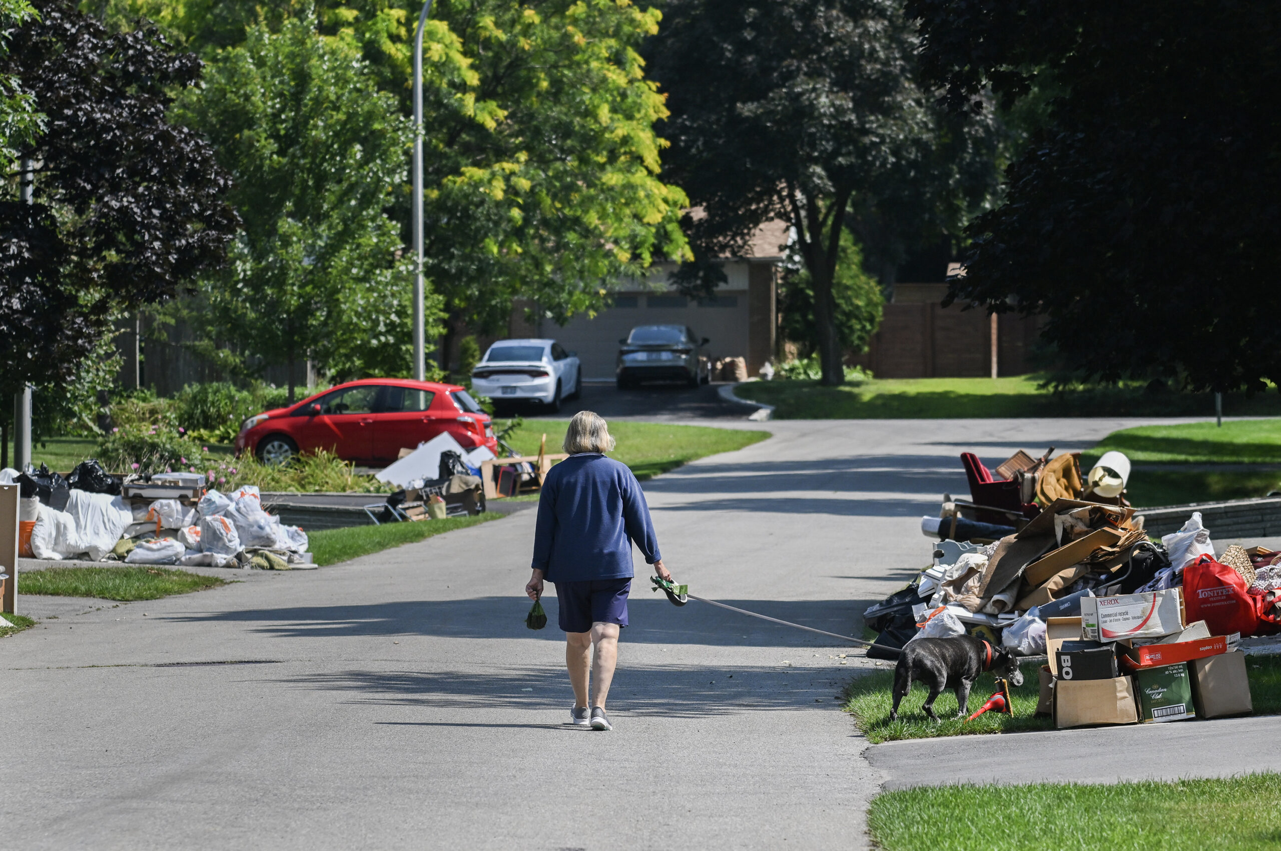 It’s a suburban street with no sidewalks. The piles of things are in cardboard boxes and plastic bags. Between each driveway are green lawns and mature trees. The woman is in blue knee-length shorts, a long-sleeve blue jacket and sport shoes. The dog is chocolate brown, and he’s investigating one of the piles.