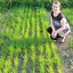 Caroline Halde photo