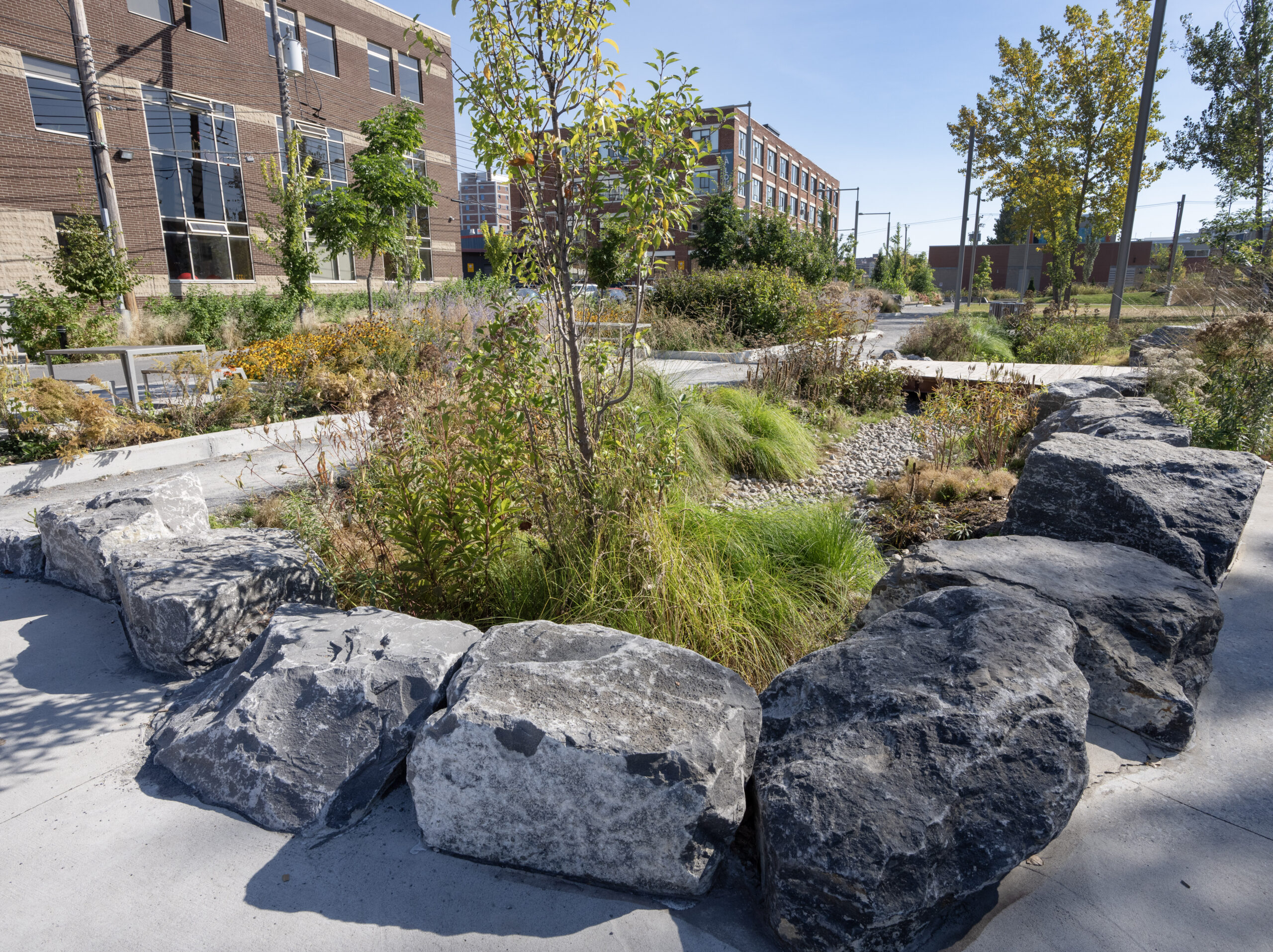 Boulders line a plot of land covered in pebbles, ornamental grasses and a couple small shrubs. A maze of walkways connects other spaces like this. In the distance, more trees and greenery in front of a couple of low-rise brick buildings.