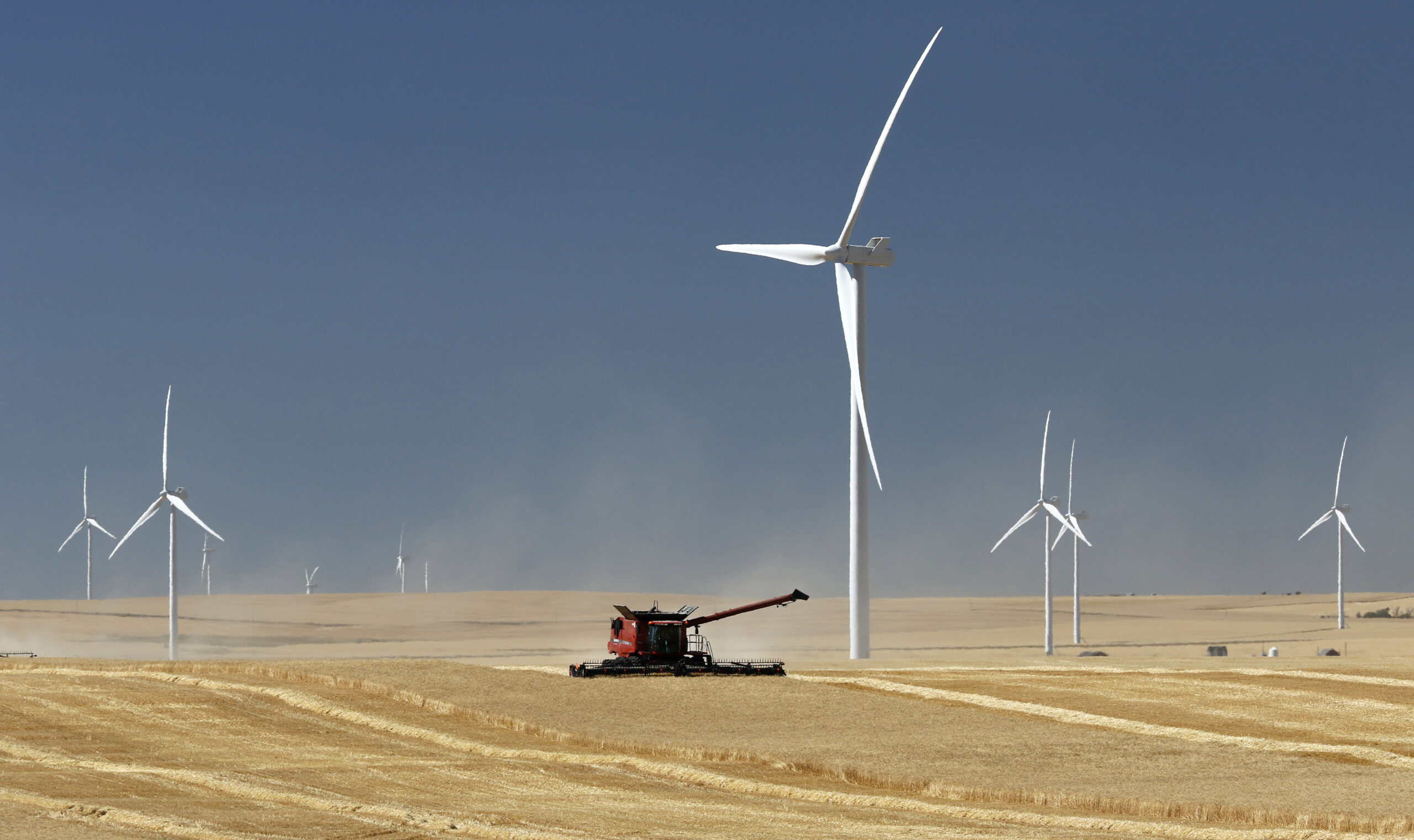 La moissonneuse-batteuse traverse le milieu d’un champ doré où la poussière s’élève du sol. Des dizaines de hautes turbines blanches parsèment le paysage. Le ciel est bleu foncé, sans nuages. Le paysage est légèrement surréaliste.