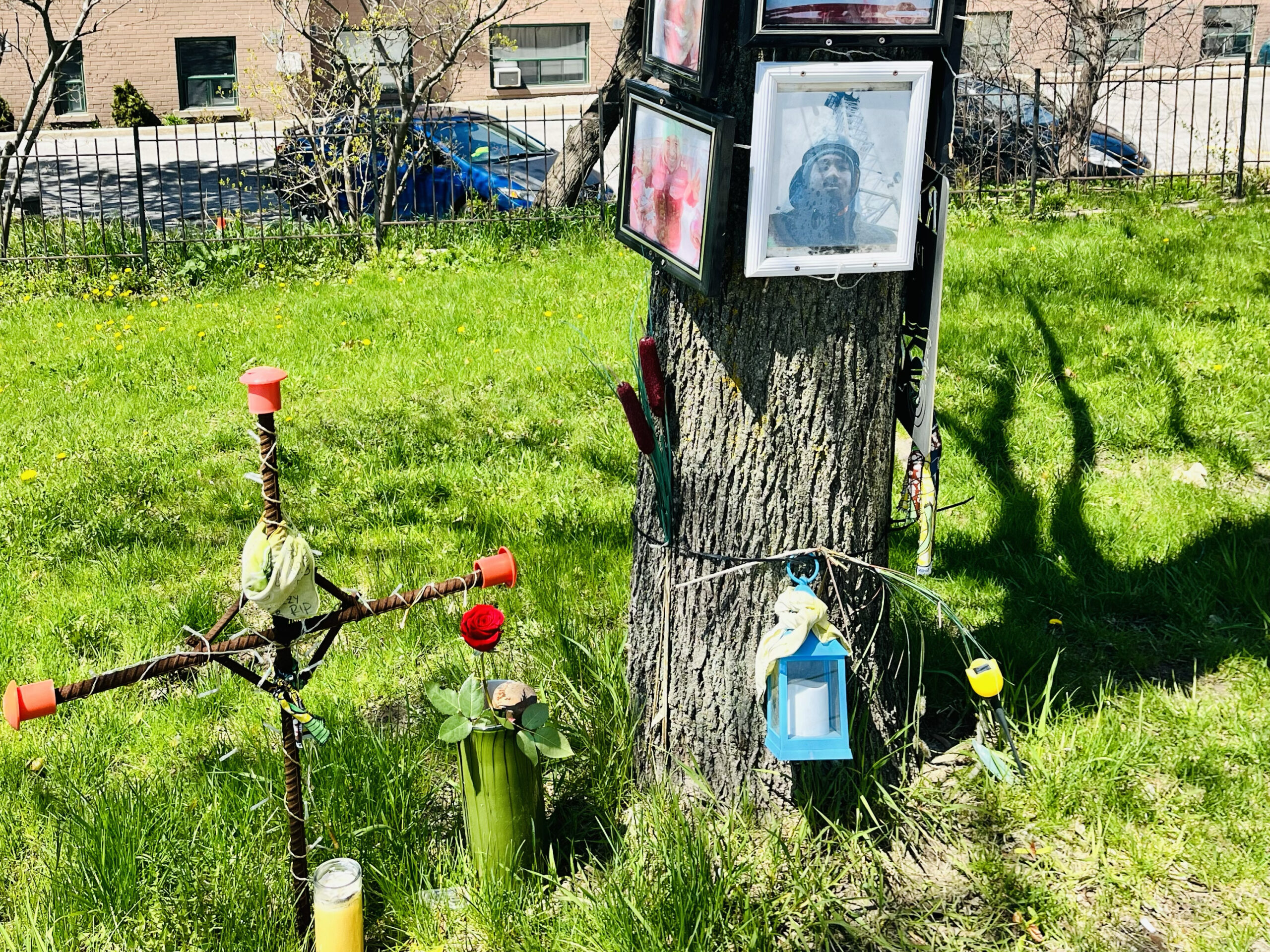 A fenced-in grassy area sits next to a street lined with cars and a brick apartment building. In the area, a mature tree stands, with framed photos of people attached to the trunk, the photos faded by the sun. A candle in a glass lantern box has been tied to the trunk, and next to it a makeshift cross stands, fashioned out of lengths of rebar, with plastic orange stoppers at the ends. A tall candle in a glass sits at its base.
